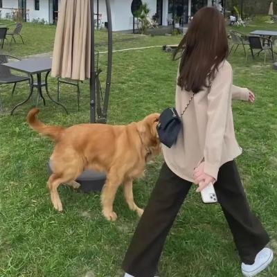 信义